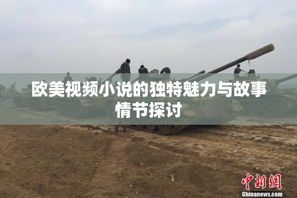 欧美视频小说的独特魅力与故事情节探讨