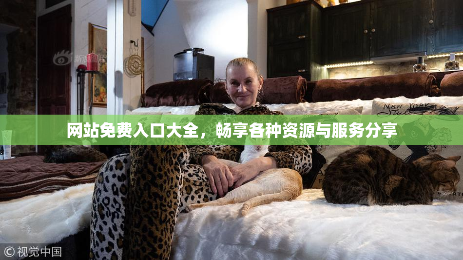 网站免费入口大全，畅享各种资源与服务分享