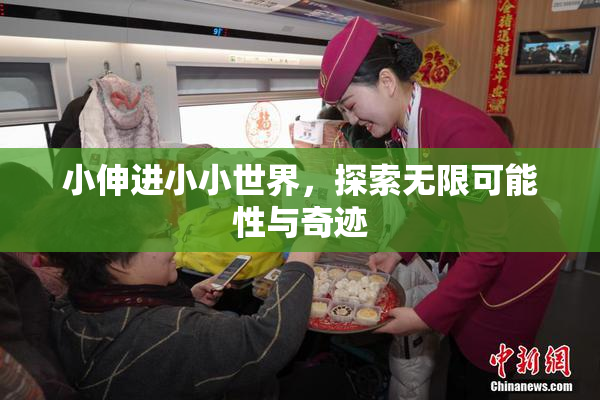 小伸进小小世界，探索无限可能性与奇迹