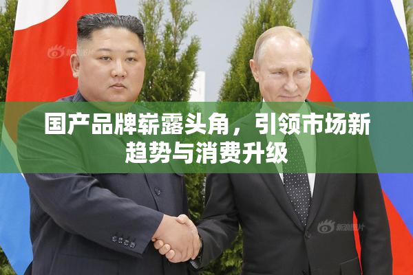 国产品牌崭露头角，引领市场新趋势与消费升级