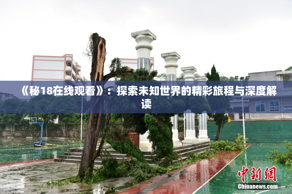 《秘18在线观看》：探索未知世界的精彩旅程与深度解读