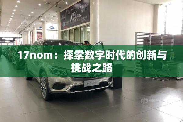 17nom：探索数字时代的创新与挑战之路