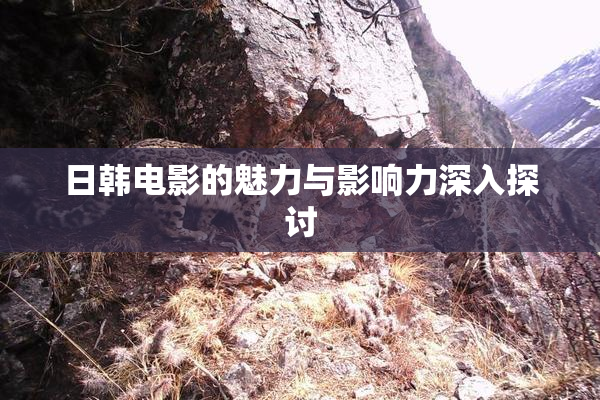 日韩电影的魅力与影响力深入探讨