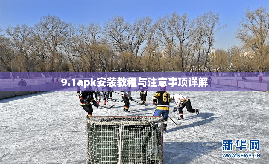 9.1apk安装教程与注意事项详解