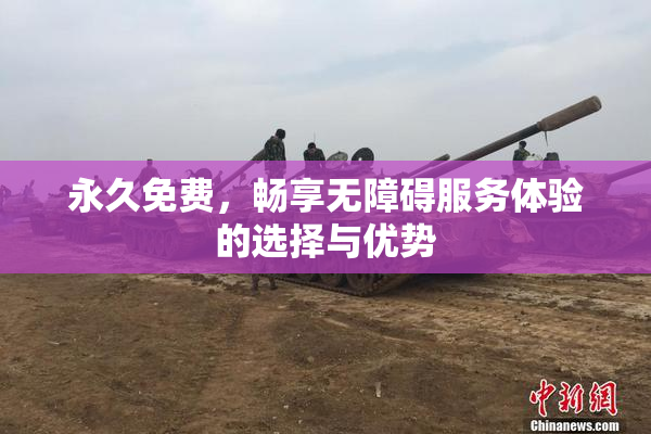 永久免费，畅享无障碍服务体验的选择与优势