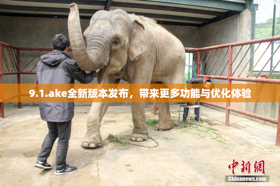 9.1.ake全新版本发布，带来更多功能与优化体验