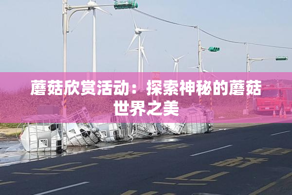 蘑菇欣赏活动：探索神秘的蘑菇世界之美