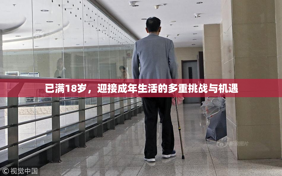 已满18岁，迎接成年生活的多重挑战与机遇