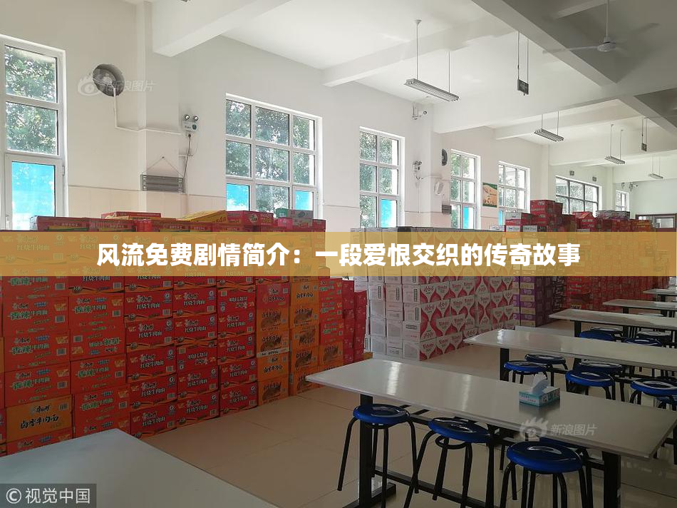 风流免费剧情简介：一段爱恨交织的传奇故事