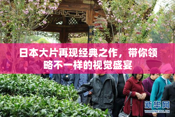 日本大片再现经典之作，带你领略不一样的视觉盛宴