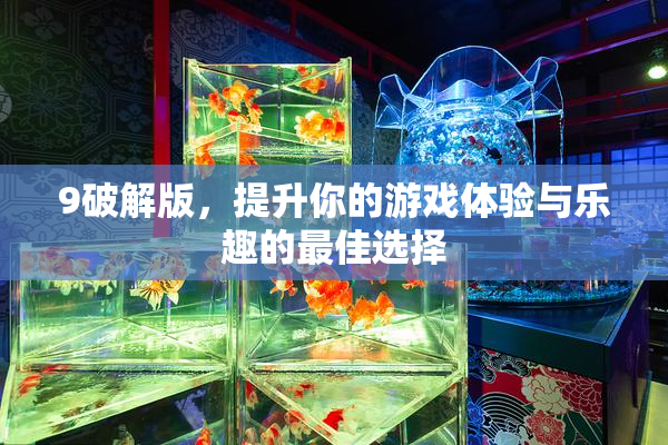 9破解版，提升你的游戏体验与乐趣的最佳选择