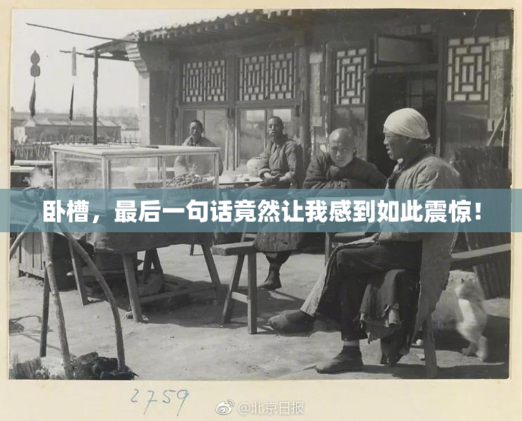 卧槽，最后一句话竟然让我感到如此震惊！
