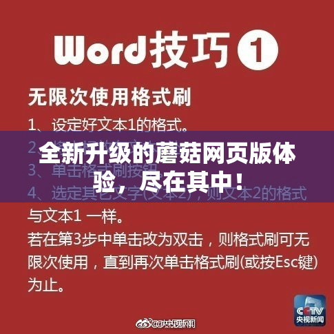 全新升级的蘑菇网页版体验，尽在其中！