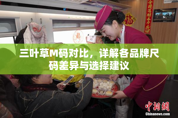 三叶草M码对比，详解各品牌尺码差异与选择建议