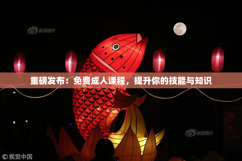 重磅发布：免费成人课程，提升你的技能与知识