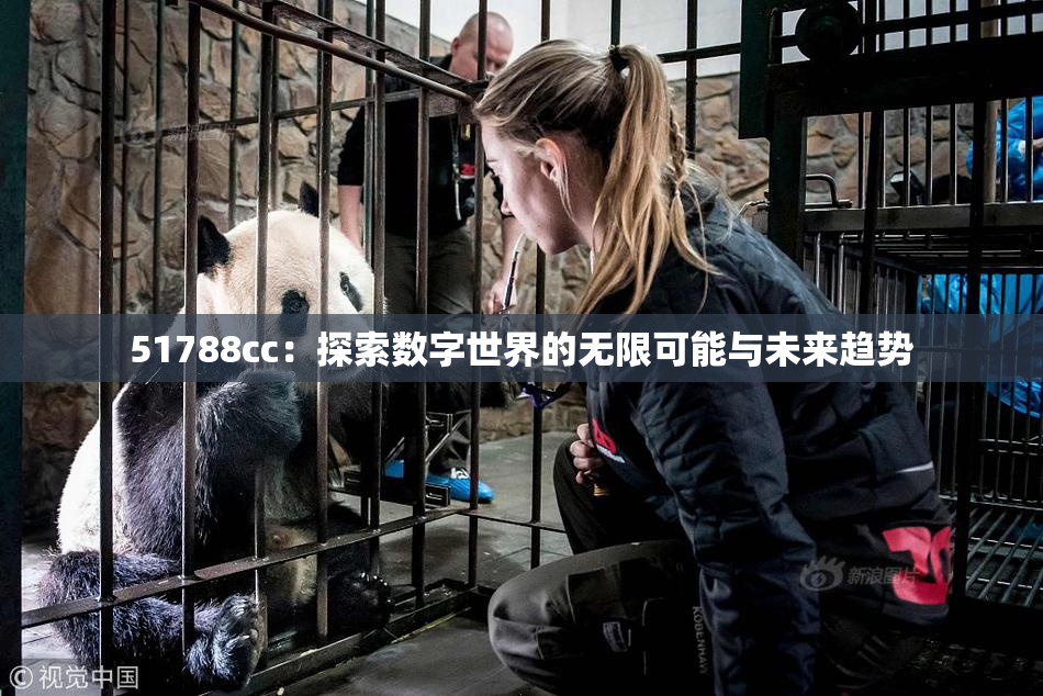 51788cc：探索数字世界的无限可能与未来趋势