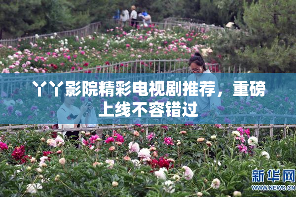 丫丫影院精彩电视剧推荐，重磅上线不容错过