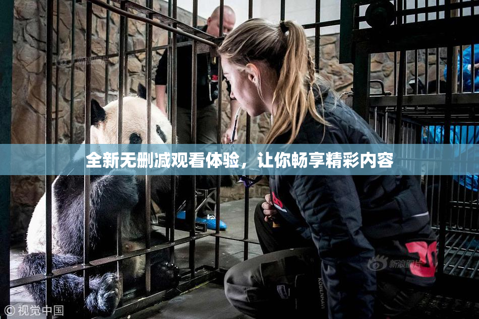 全新无删减观看体验，让你畅享精彩内容