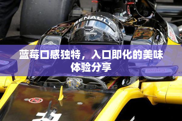 蓝莓口感独特，入口即化的美味体验分享