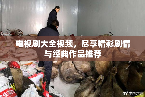 电视剧大全视频，尽享精彩剧情与经典作品推荐