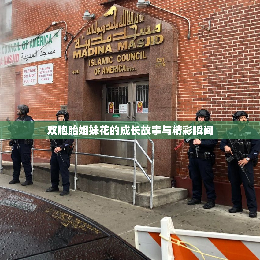 双胞胎姐妹花的成长故事与精彩瞬间