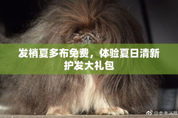 发梢夏多布免费，体验夏日清新护发大礼包