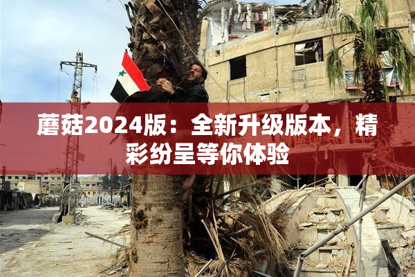 蘑菇2024版：全新升级版本，精彩纷呈等你体验