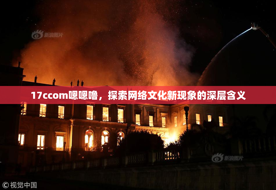 17ccom嗯嗯噜，探索网络文化新现象的深层含义