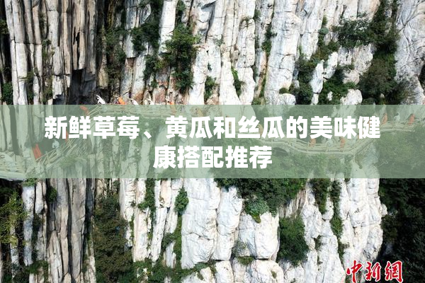 新鲜草莓、黄瓜和丝瓜的美味健康搭配推荐