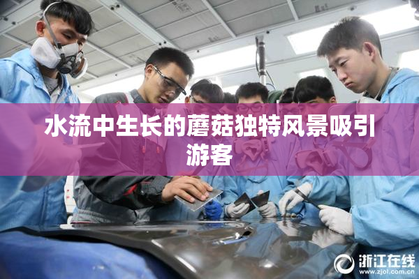 水流中生长的蘑菇独特风景吸引游客