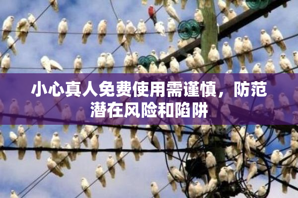 小心真人免费使用需谨慎，防范潜在风险和陷阱