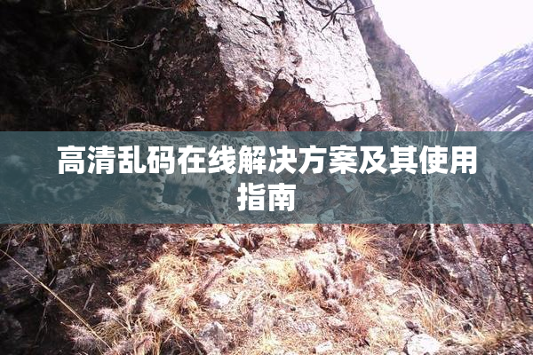 高清乱码在线解决方案及其使用指南