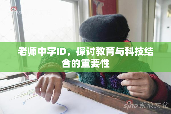 老师中字ID，探讨教育与科技结合的重要性