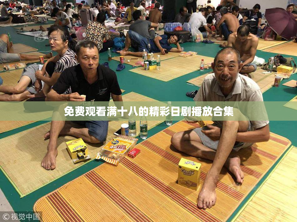 免费观看满十八的精彩日剧播放合集