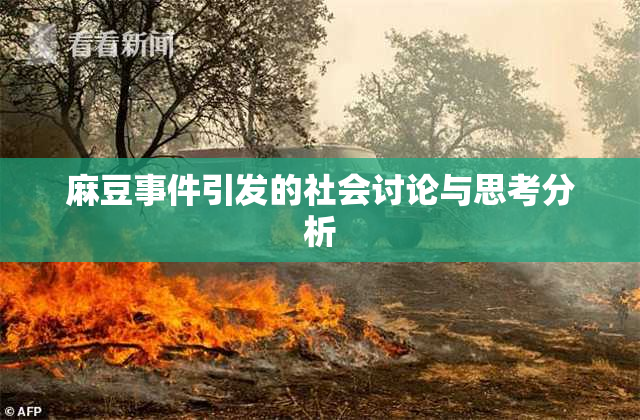 麻豆事件引发的社会讨论与思考分析