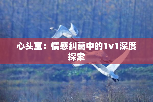 心头宝：情感纠葛中的1v1深度探索
