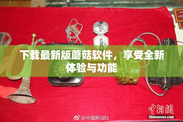 下载最新版蘑菇软件，享受全新体验与功能
