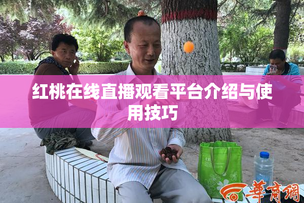 红桃在线直播观看平台介绍与使用技巧