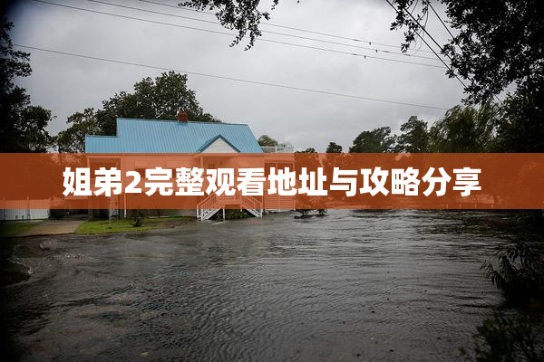 姐弟2完整观看地址与攻略分享