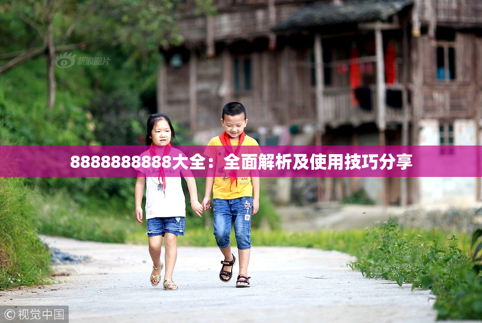 8888888888大全：全面解析及使用技巧分享