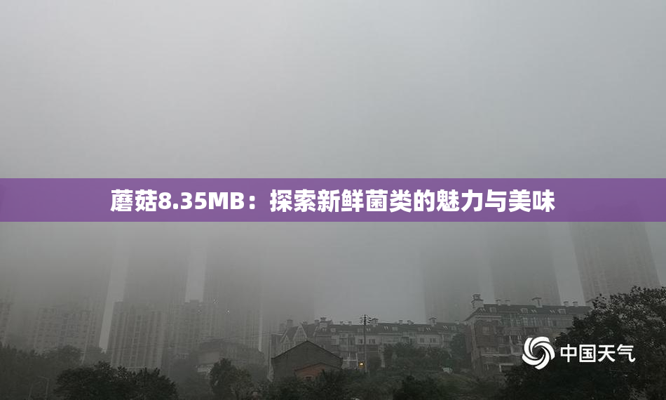 蘑菇8.35MB：探索新鲜菌类的魅力与美味