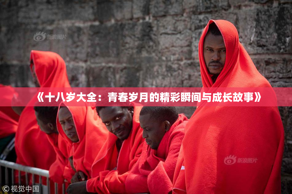 《十八岁大全：青春岁月的精彩瞬间与成长故事》