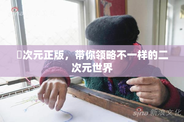 囧次元正版，带你领略不一样的二次元世界