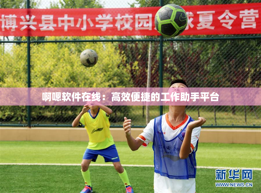 啊嗯软件在线：高效便捷的工作助手平台
