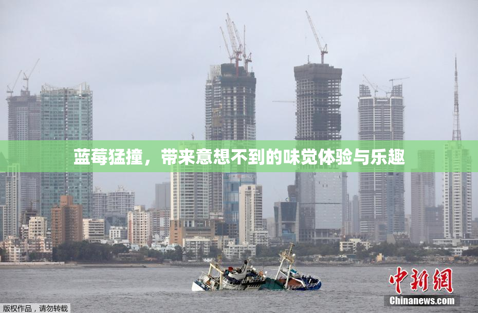 蓝莓猛撞，带来意想不到的味觉体验与乐趣