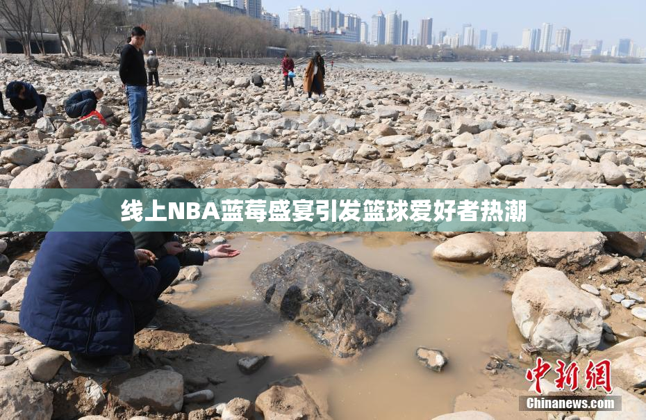 线上NBA蓝莓盛宴引发篮球爱好者热潮