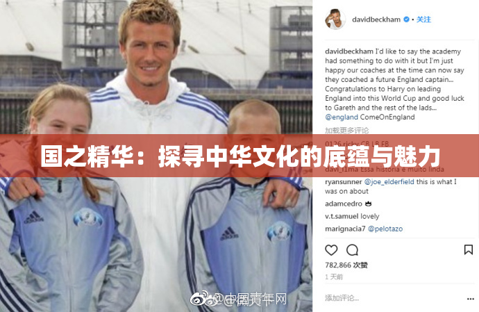 国之精华：探寻中华文化的底蕴与魅力