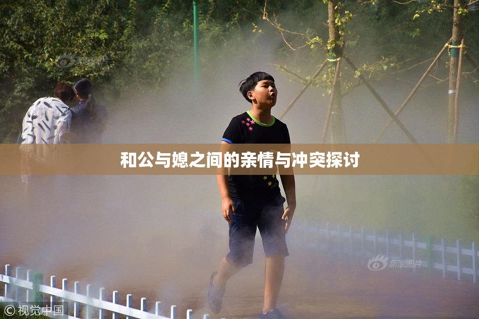 和公与媳之间的亲情与冲突探讨