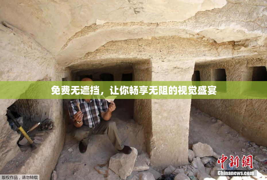 免费无遮挡，让你畅享无阻的视觉盛宴