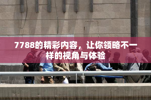 7788的精彩内容，让你领略不一样的视角与体验